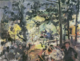 Wachensee, on the Terrace